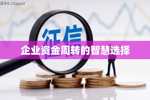 南澳企业资金周转的智慧选择