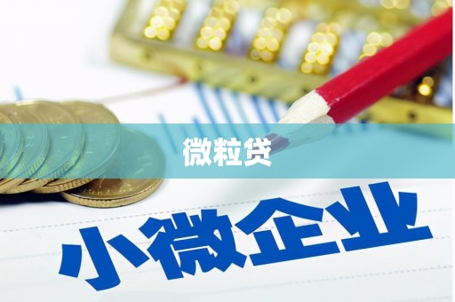 南澳微粒贷
