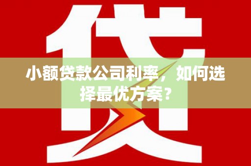 南澳小额贷款公司利率，如何选择最优方案？