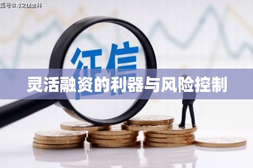 南澳灵活融资的利器与风险控制