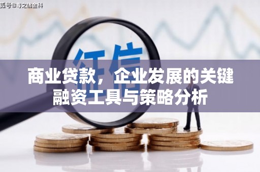 南澳商业贷款，企业发展的关键融资工具与策略分析