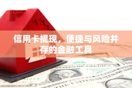 南澳信用卡提现，便捷与风险并存的金融工具