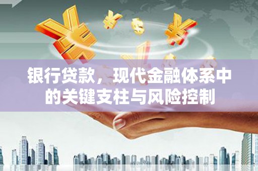 南澳银行贷款，现代金融体系中的关键支柱与风险控制