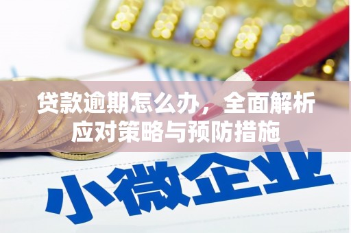 南澳贷款逾期怎么办，全面解析应对策略与预防措施