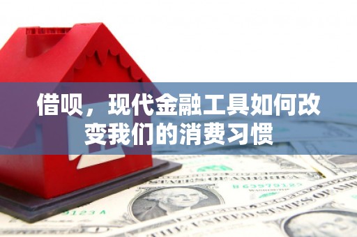 南澳借呗，现代金融工具如何改变我们的消费习惯