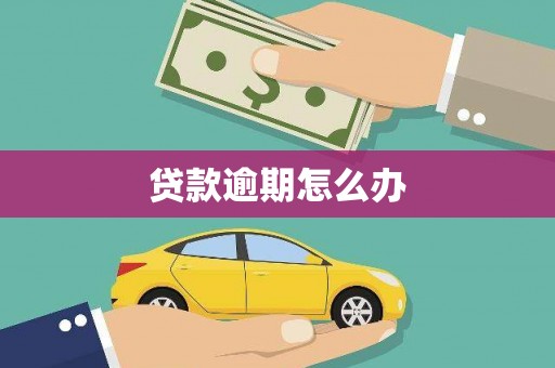 南澳贷款逾期怎么办