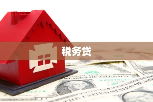 南澳税务贷
