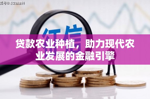 南澳贷款农业种植，助力现代农业发展的金融引擎
