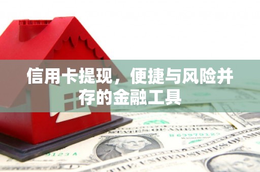 南澳信用卡提现，便捷与风险并存的金融工具