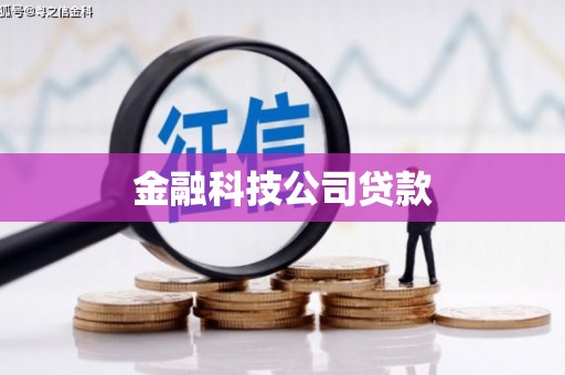 南澳金融科技公司贷款
