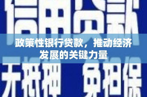 南澳政策性银行贷款，推动经济发展的关键力量