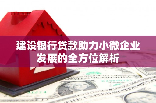南澳建设银行贷款助力小微企业发展的全方位解析