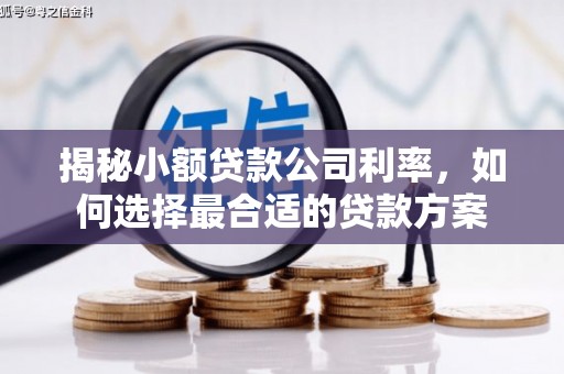 南澳揭秘小额贷款公司利率，如何选择最合适的贷款方案