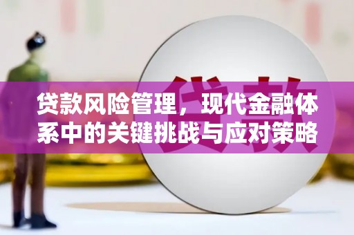 南澳贷款风险管理，现代金融体系中的关键挑战与应对策略