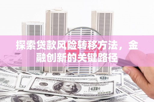 南澳探索贷款风险转移方法，金融创新的关键路径