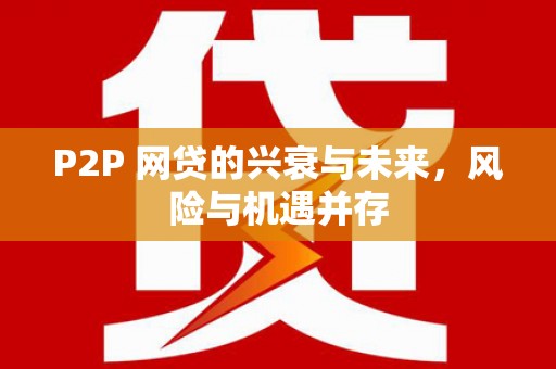 南澳P2P 网贷的兴衰与未来，风险与机遇并存