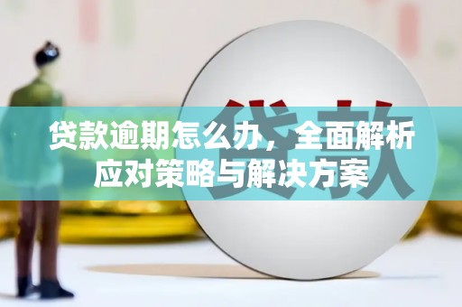 南澳贷款逾期怎么办，全面解析应对策略与解决方案