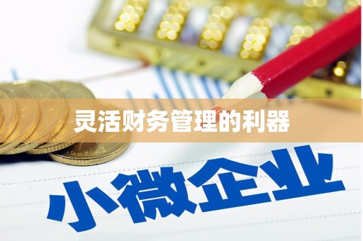 南澳灵活财务管理的利器