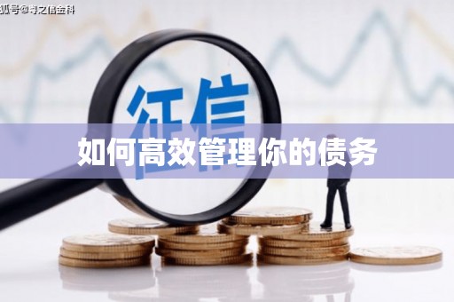 南澳如何高效管理你的债务