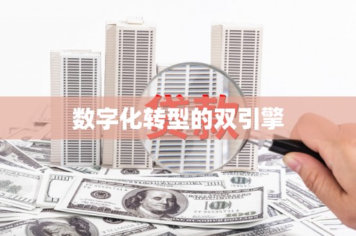 南澳数字化转型的双引擎