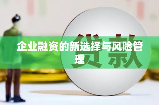 南澳企业融资的新选择与风险管理