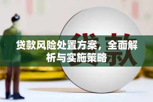 南澳贷款风险处置方案，全面解析与实施策略