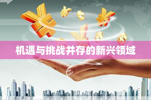 南澳机遇与挑战并存的新兴领域