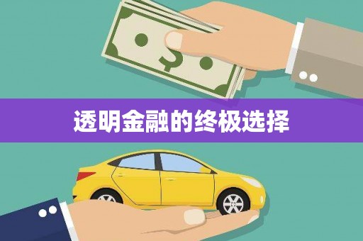 南澳透明金融的终极选择